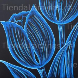 LÁMINA:F5-1372  60X60