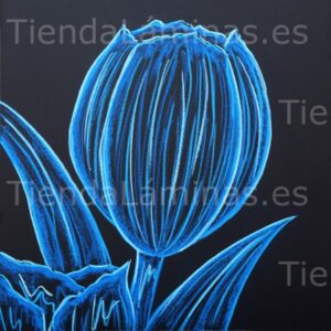 LÁMINA:F5-1374  60X60