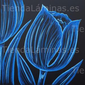 LÁMINA:F5-1373  60X60