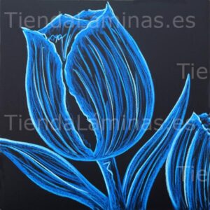 LÁMINA:F5-1375  60X60