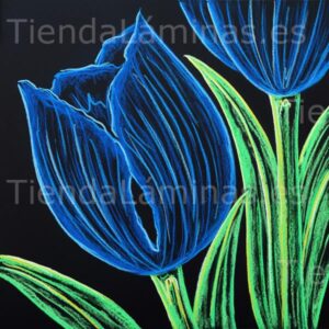 LÁMINA:F5-1376  60X60