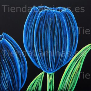 LÁMINA:F5-1377  60X60