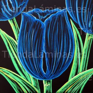 LÁMINA:F5-1379  60X60