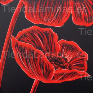 LÁMINA:F5-1381  60X60