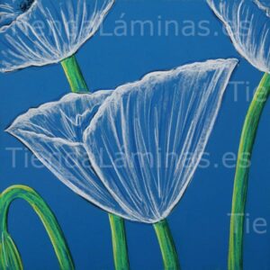 LÁMINA:F5-1388  60X60