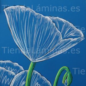 LÁMINA:F5-1391  60X60