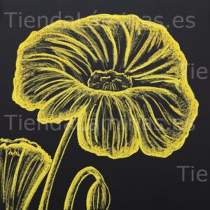 LÁMINA:F5-1395  60X60