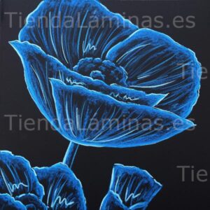 LÁMINA:F5-1396  60X60