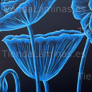 LÁMINA:F5-1398  60X60