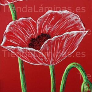 LÁMINA:F5-1402  60X60