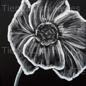 LÁMINA:F5-1404  60X60