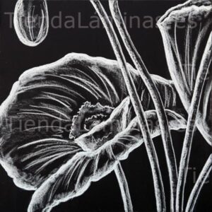 LÁMINA:F5-1405  60X60