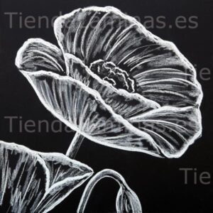 LÁMINA:F5-1406  60X60