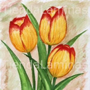 LÁMINA:F3-1145 20X20