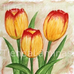 LÁMINA:F3-1146 40X40