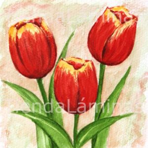 LÁMINA:F3-1147 20X20