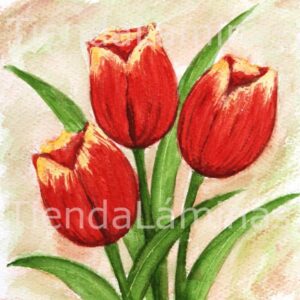 LÁMINA:F3-1148 40X40