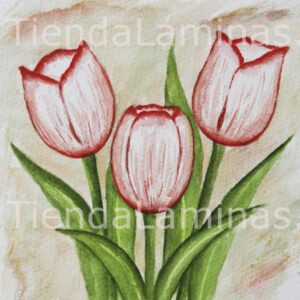 LÁMINA:F3-1149 20X20