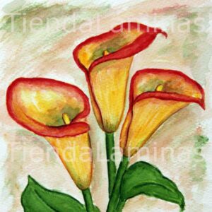 LÁMINA:F3-1106 40X40