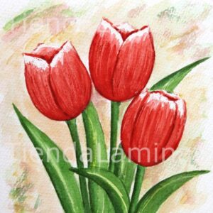 LÁMINA:F3-1152 40X40