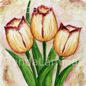 LÁMINA:F3-1153 40X40