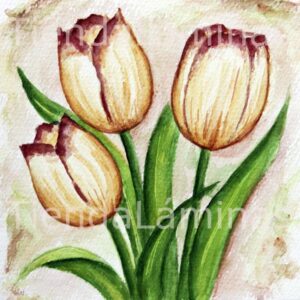 LÁMINA:F3-1154 40X40