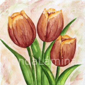 LÁMINA:F3-1155 40X40