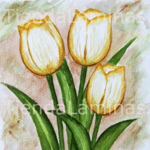 LÁMINA:F3-1157 40X40