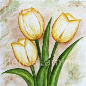 LÁMINA:F3-1158 40X40