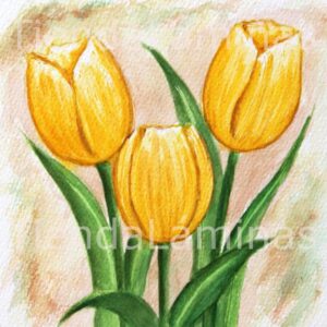 LÁMINA:F3-1159 20X20