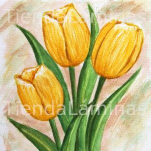 LÁMINA:F3-1160 40X40