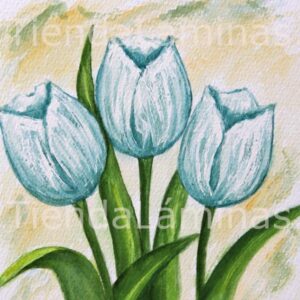 LÁMINA:F3-1161 20X20