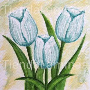 LÁMINA:F3-1162 20X20