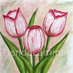 LÁMINA:F3-1166 40X40