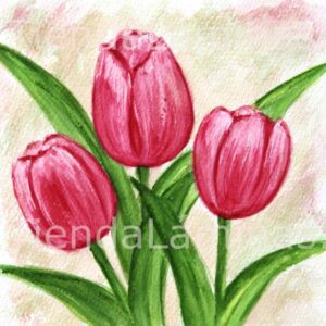 LÁMINA:F3-1167 40X40