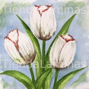 LÁMINA:F3-1169 20X20