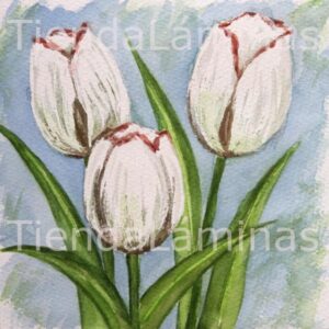 LÁMINA:F3-1170 20X20