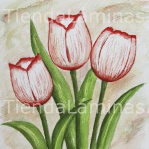 LÁMINA:F3-1150 20X20