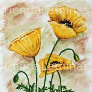 LÁMINA:F3-1173 20X20