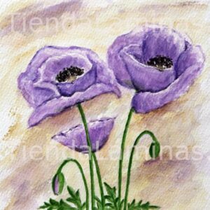 LÁMINA:F3-1175 40X40