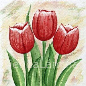 LÁMINA:F3-1151 20X20