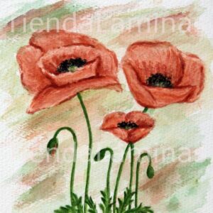 LÁMINA:F3-1177 40X40