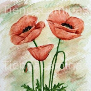 LÁMINA:F3-1178 20X20