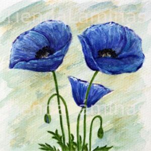 LÁMINA:F3-1179 40X40