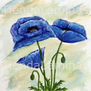 LÁMINA:F3-1180 40X40