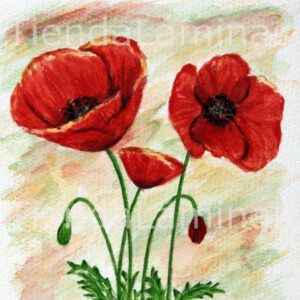 LÁMINA:F3-1181 40X40