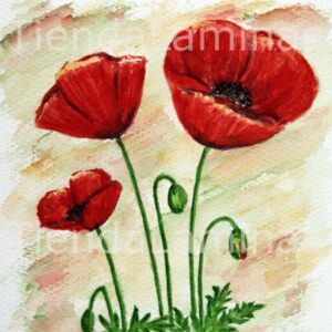 LÁMINA:F3-1182 40X40