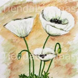 LÁMINA:F3-1172 20X20