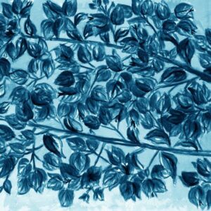 LÁMINA:F2-1268AZ2  45X45