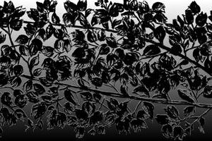 LÁMINA:F2-1268BN  30X90